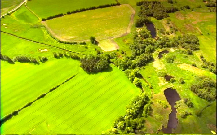 Danemarca va fi prima ţară cu agricultură 100% organică